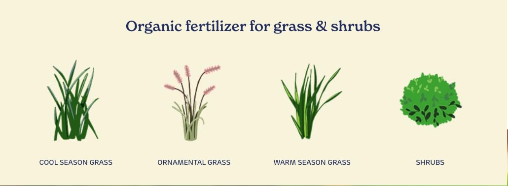 Organic Liquid Lawn Fertilizer with 1% Iron 32 fl. oz. P4760