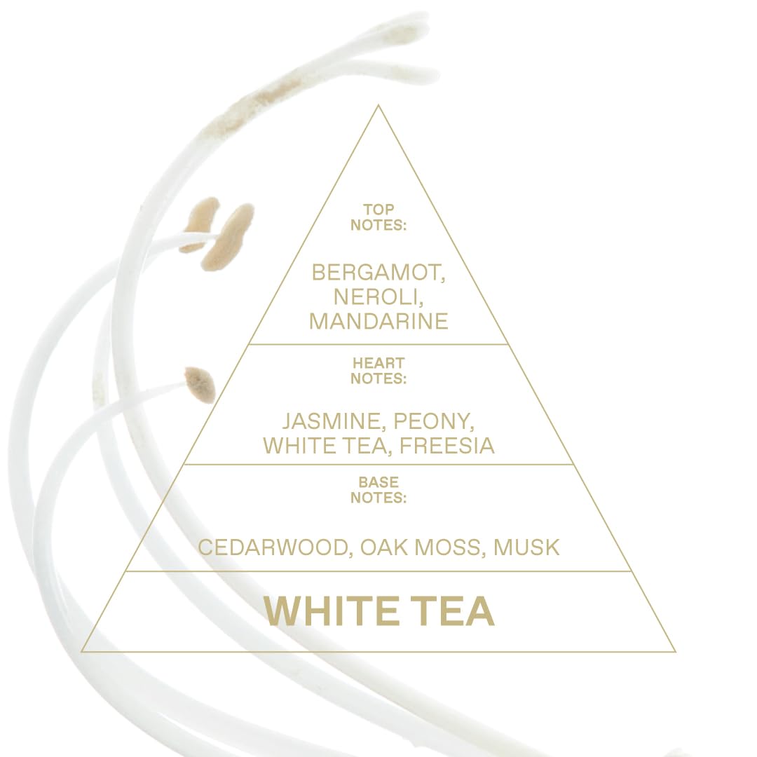 White Tea Eau De Toilette 1.69 FlOz X27925