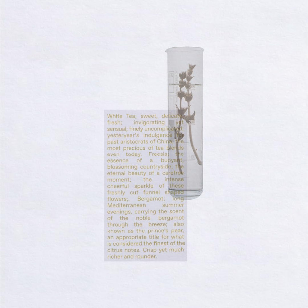 White Tea Eau De Toilette 1.69 FlOz X27925