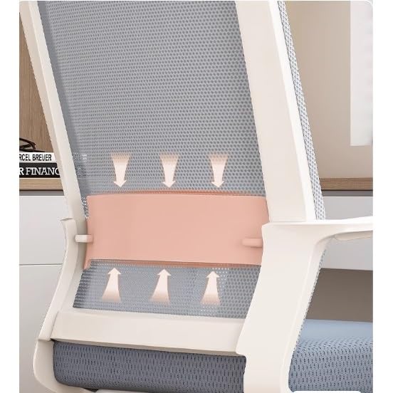 Ergonomic Middle Back Breathable Mesh Office Chair N960312