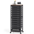 Rolling Cart with 12 Drawers L14453