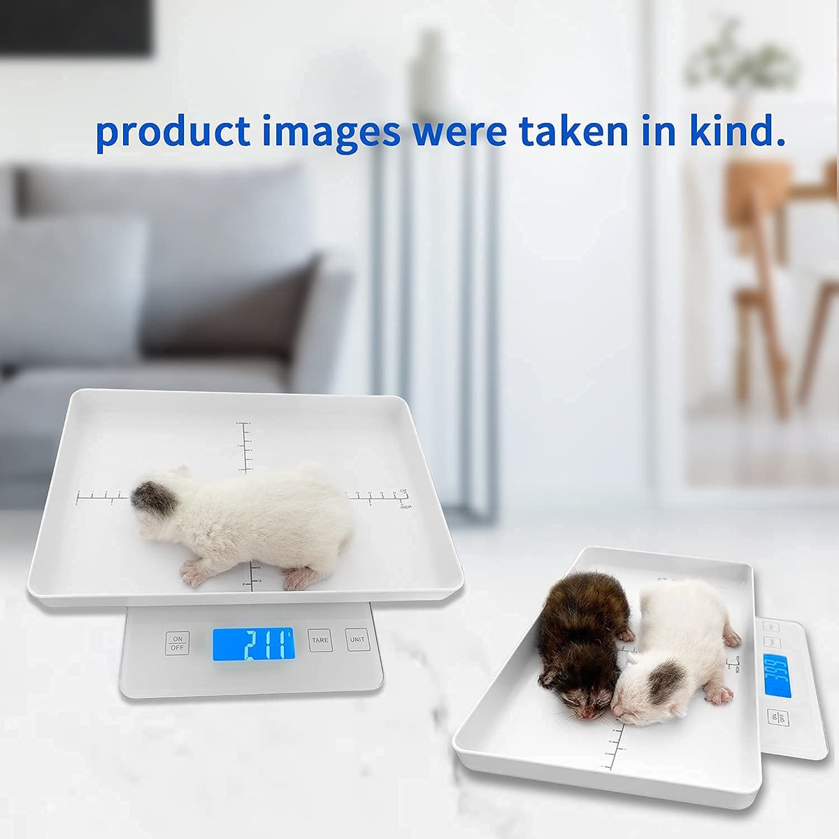 Digital Pet Scale for Small Animal, 1g Precision E9891