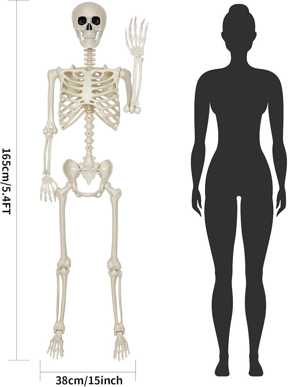 5.4FT Posable Skeleton Decorations L426