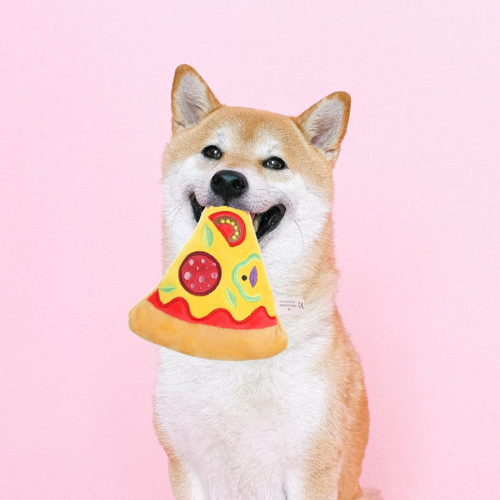 Squeaky Pizza Plush Dog Chew Toy 1 Pack I572599