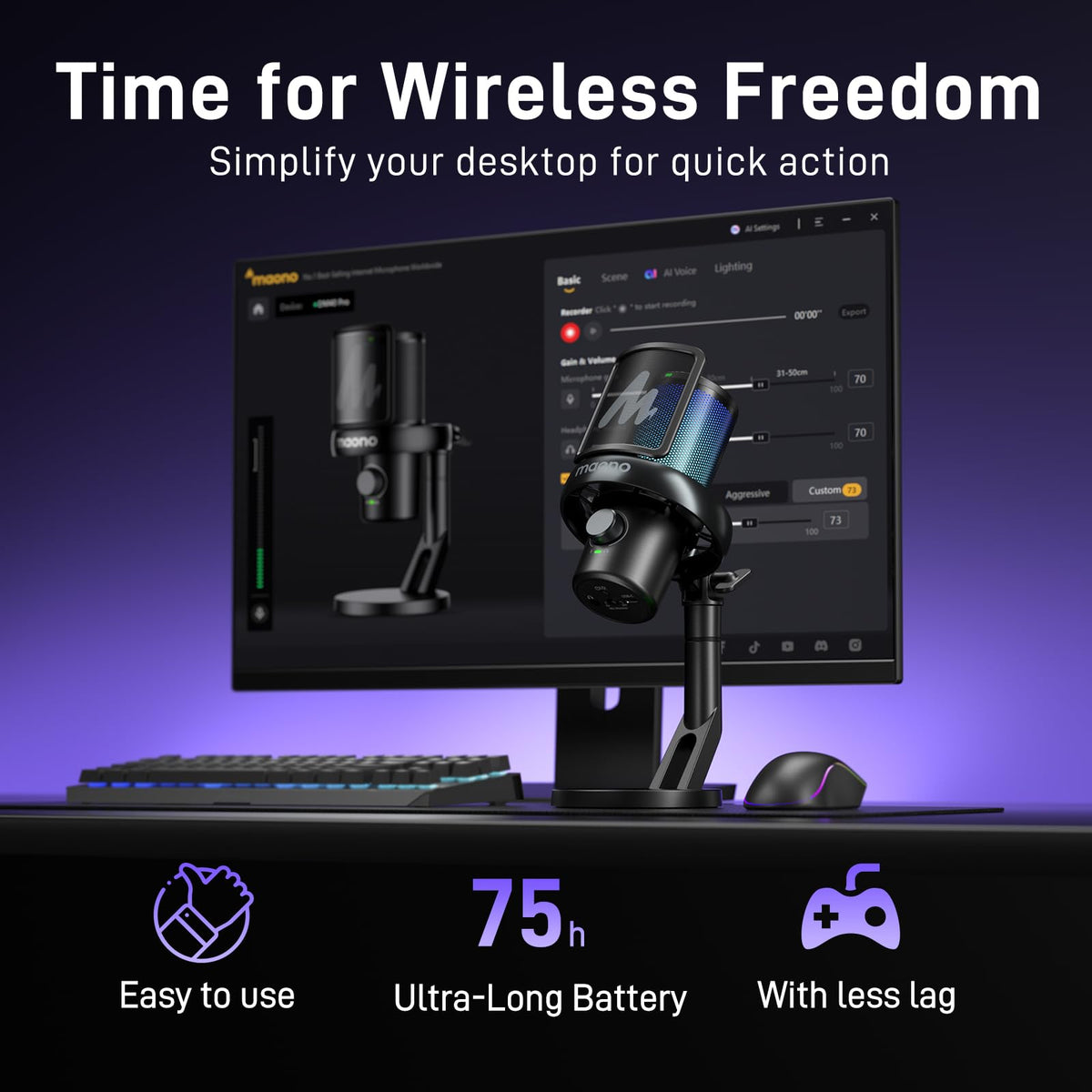 Wireless USB Gaming Microphone Y1203