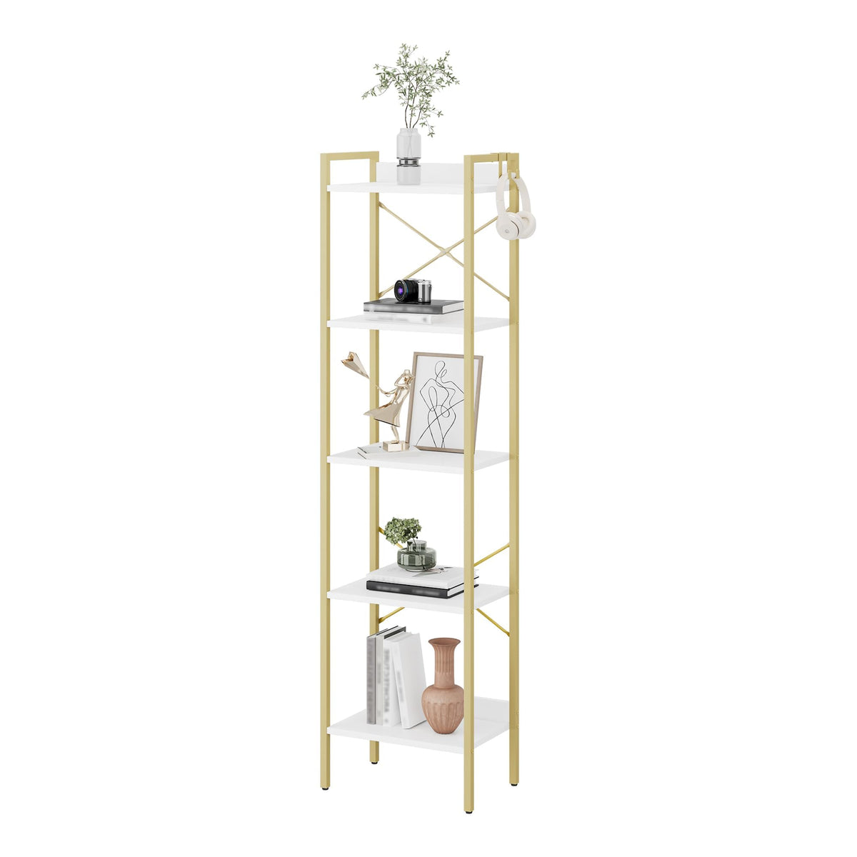 Bookshelf with 2 Hooks V13533