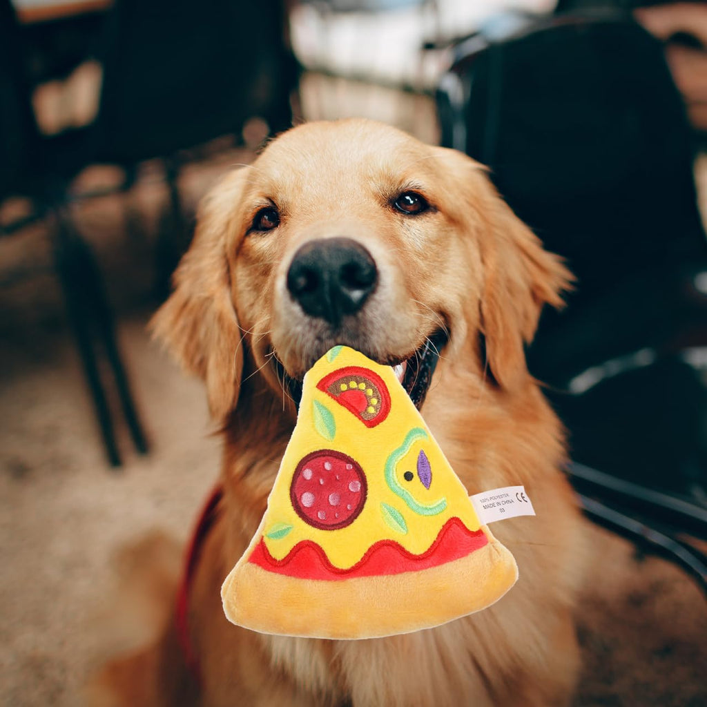 Squeaky Pizza Plush Dog Chew Toy 1 Pack I572599