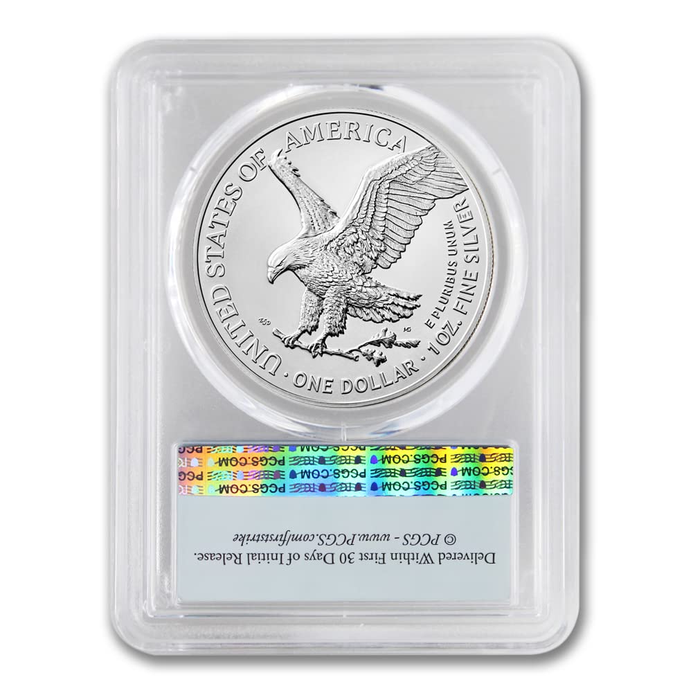 1 oz American Silver Eagle Coin MS-70 K62643