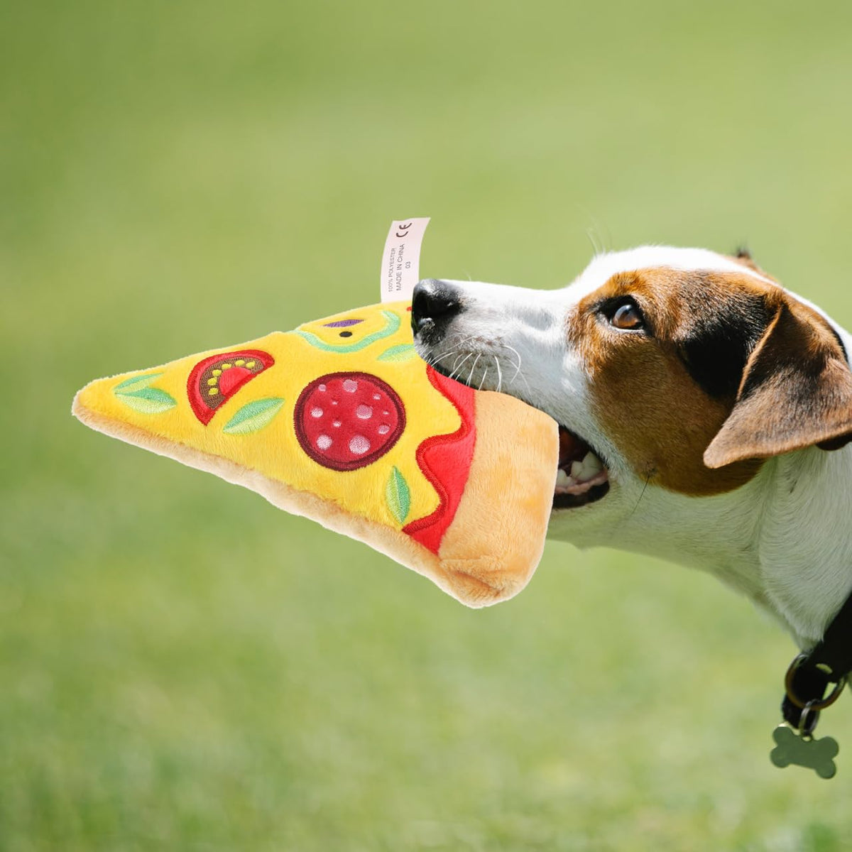 Squeaky Pizza Plush Dog Chew Toy 1 Pack I572599