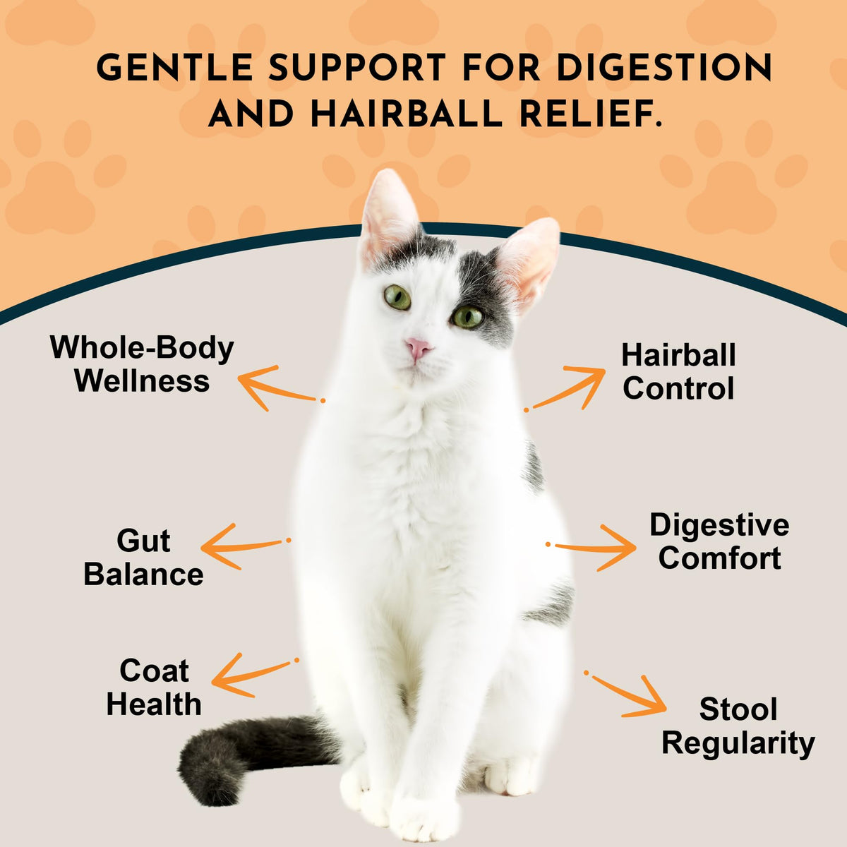 Hairball Relief Formula 1 fl Oz W850