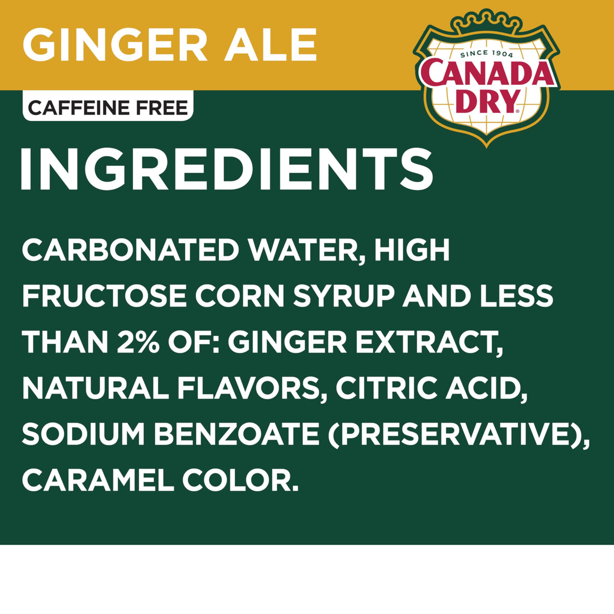 Ginger Ale Soda 12 fl oz 12 pack Z829693