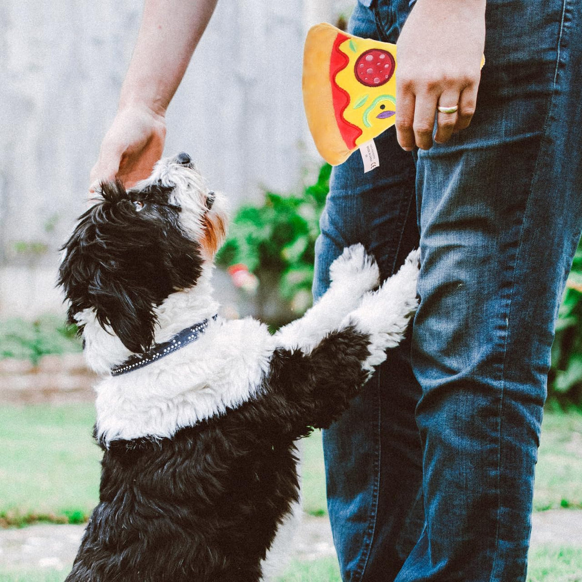 Squeaky Pizza Plush Dog Chew Toy 1 Pack I572599