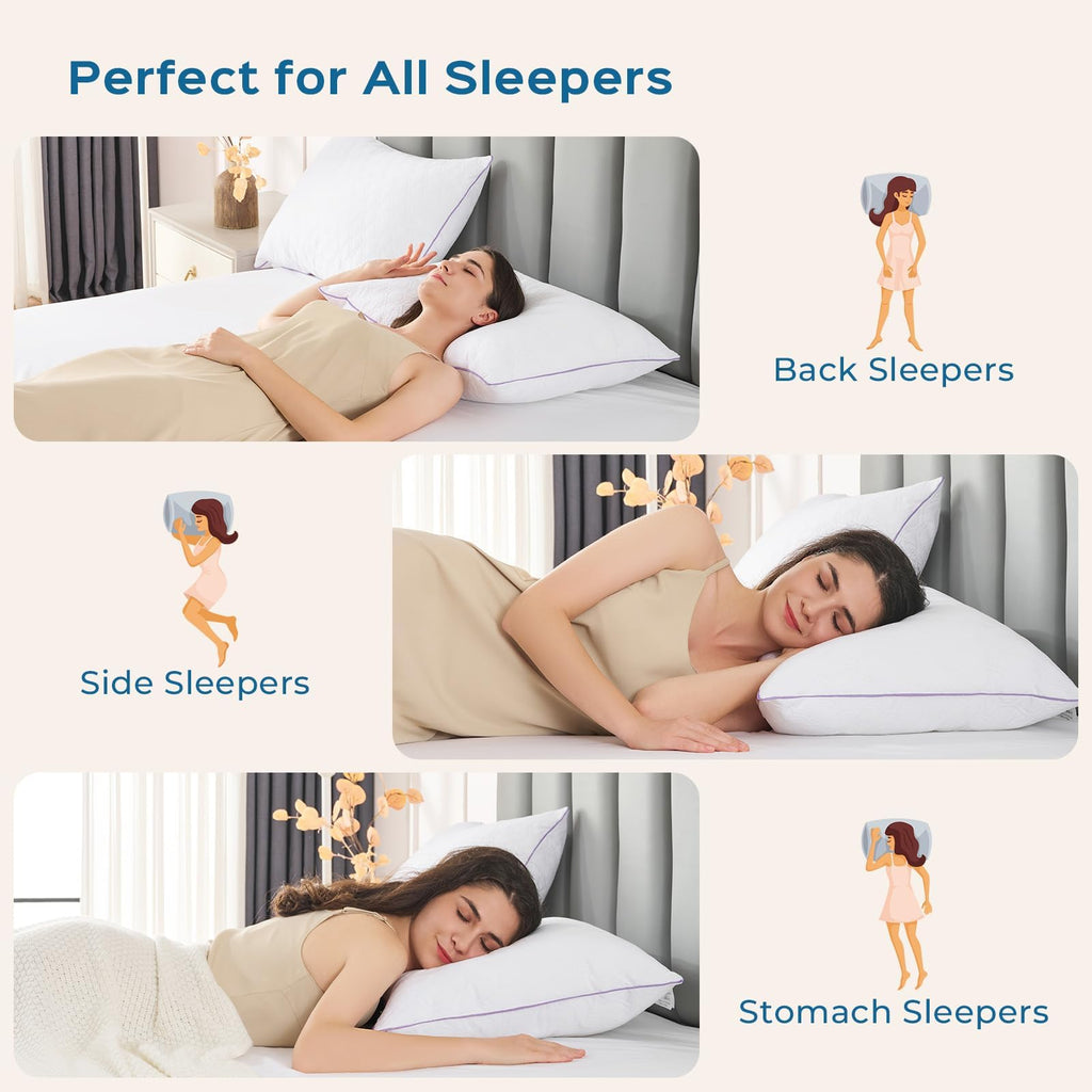 King Size Down Alternative Pillows Set of 2 I63700