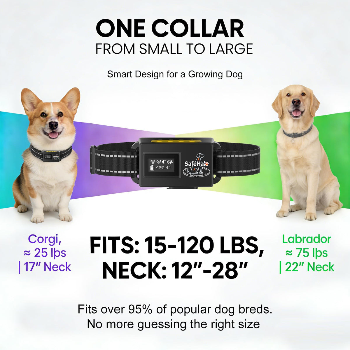 Wireless GPS Dog Fence Collar, 65–9,840 ft Radius, IPX7 Waterproof R313