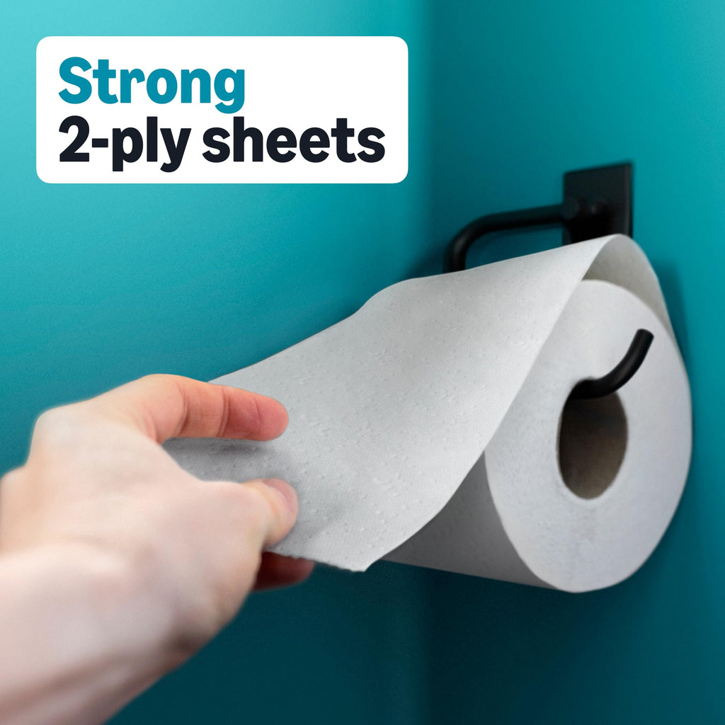 2-Ply Toilet Paper, 30 Rolls, 350 Sheets per Roll L160