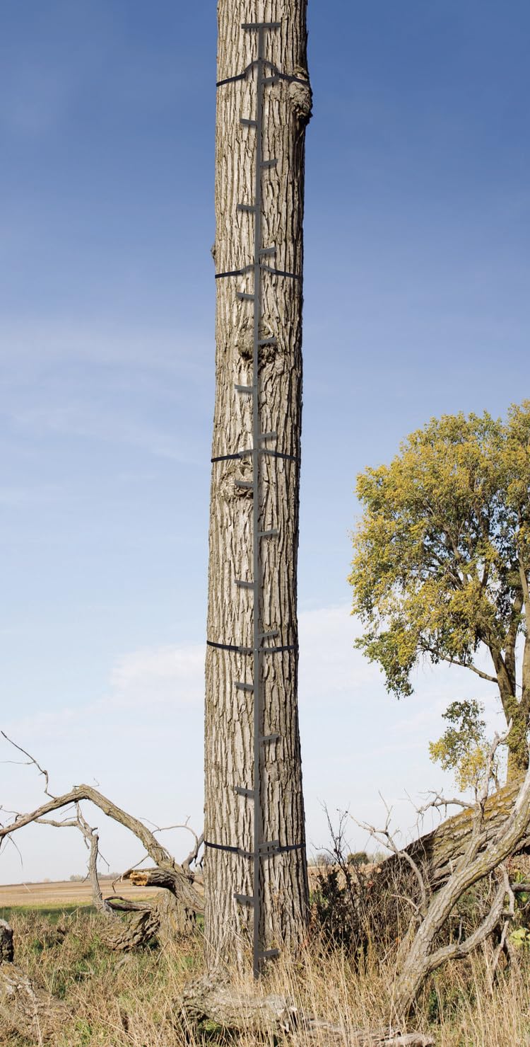 Quick-Stick Climbing System 20ft Reach U644