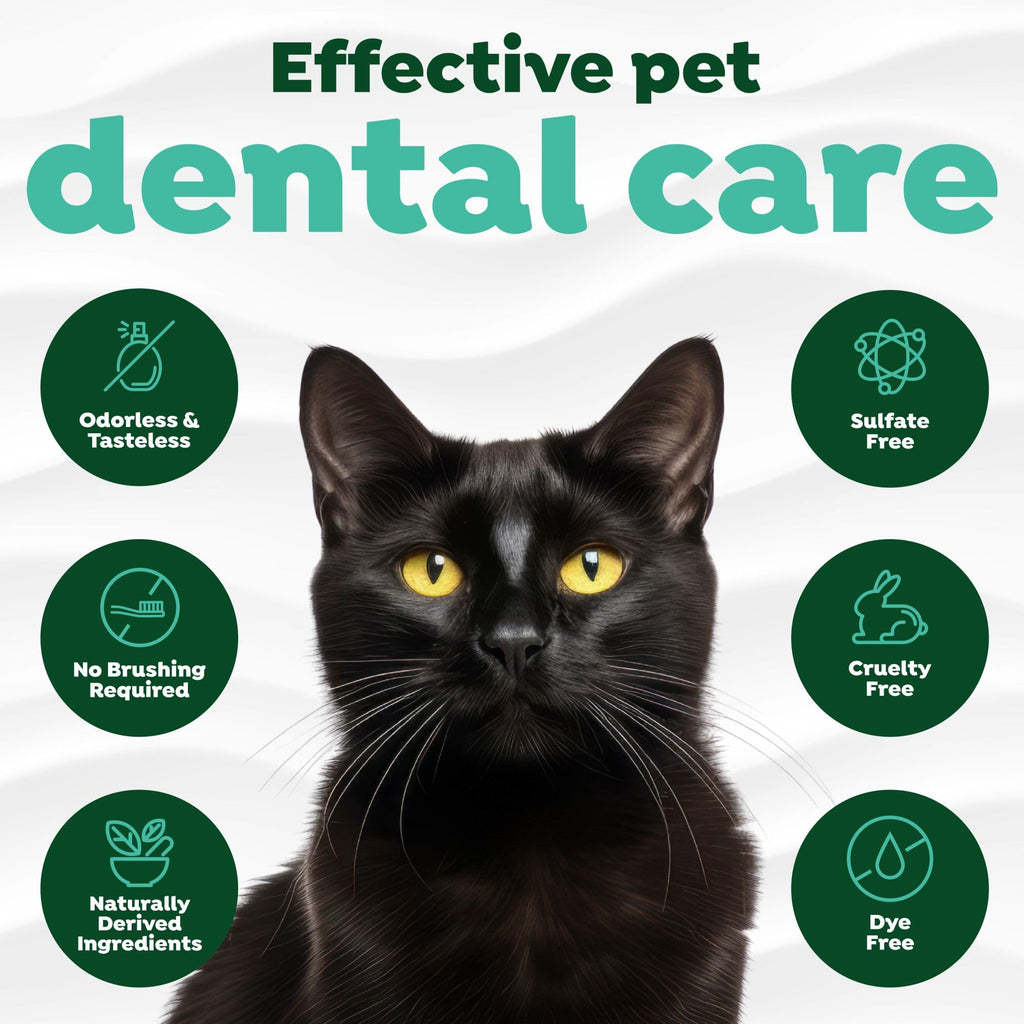 Fresh Breath Water Additive for Cats 16oz O96543