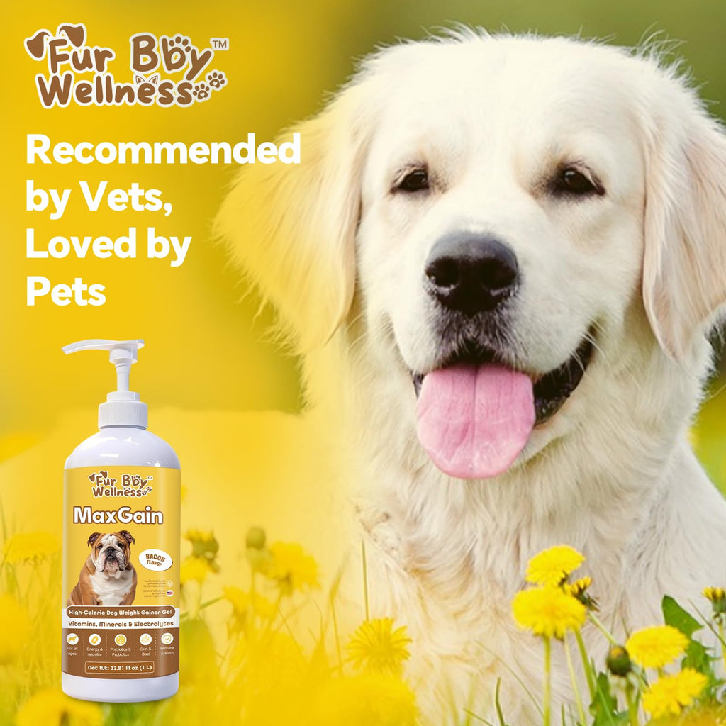 High-Calorie Dog Weight Gainer Gel with Salmon Oil, Probiotics, Vitamins & Electrolytes T4905
