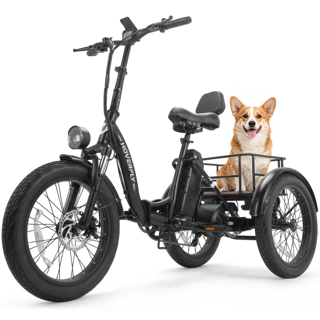Electric Tricycle for Adults 750W Peak Motor 20"x3" Fat Tire I191074