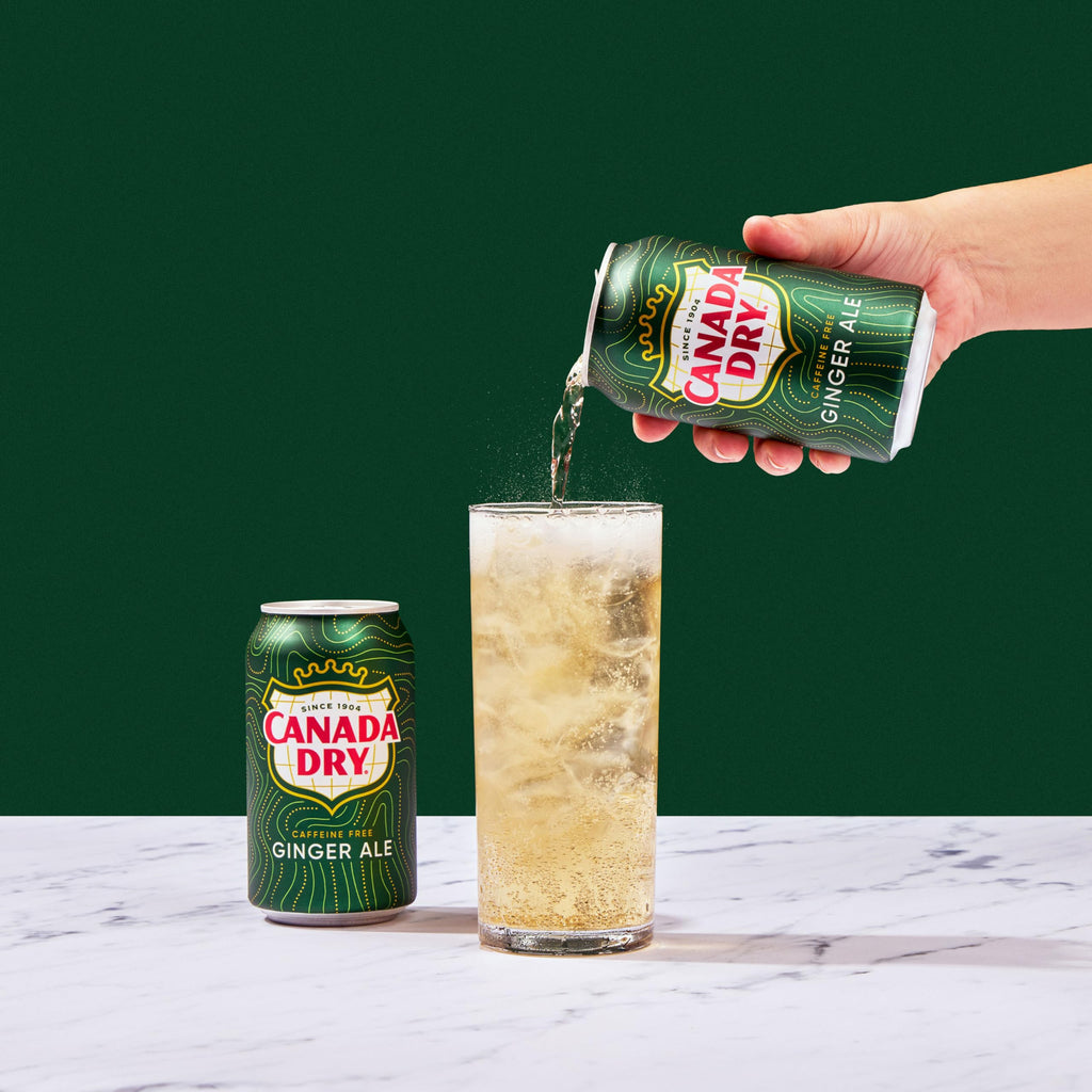 Ginger Ale Soda 12 fl oz 12 pack Z829693