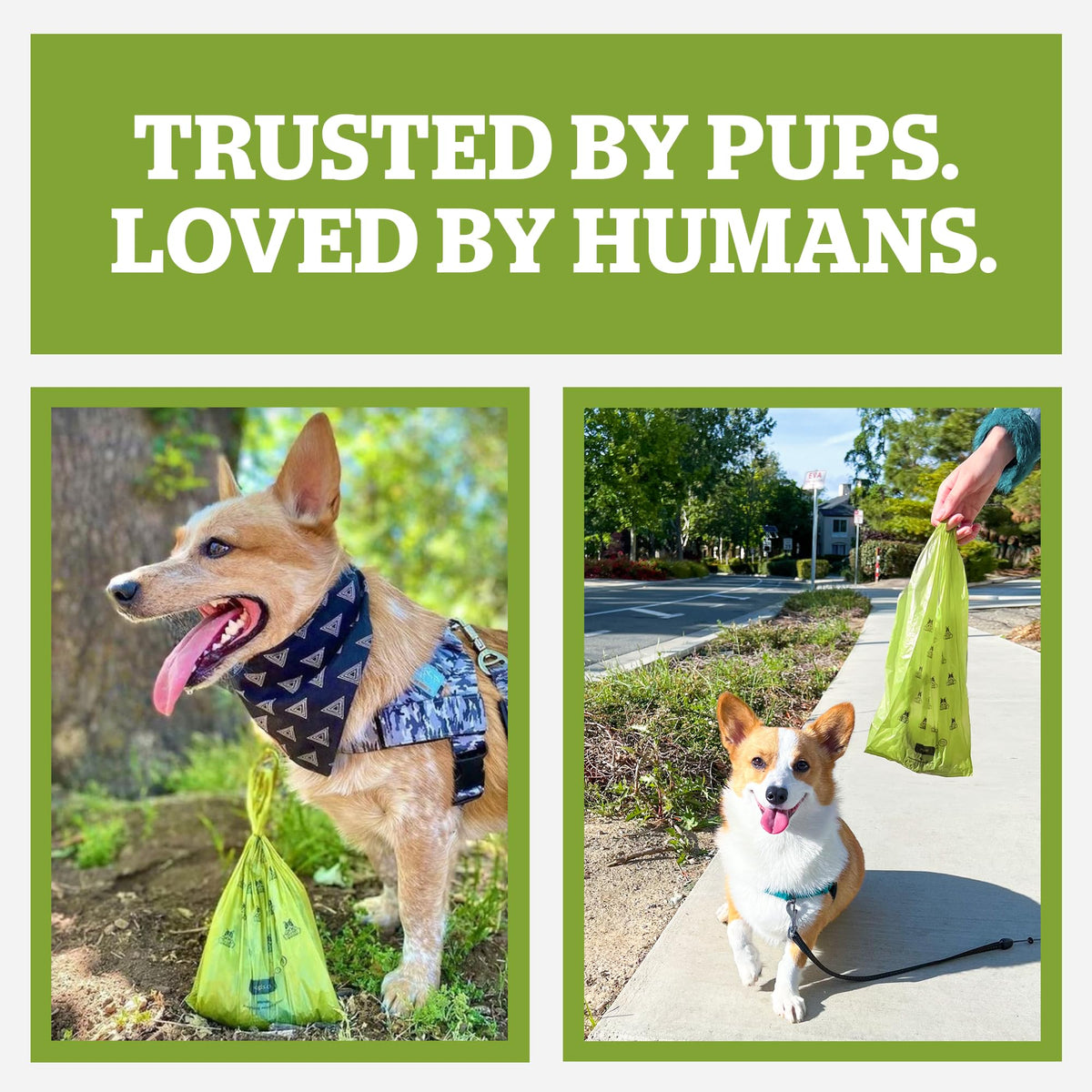 Dog Poop Bag Holder & Dispenser with 15 Unscented Bags E935