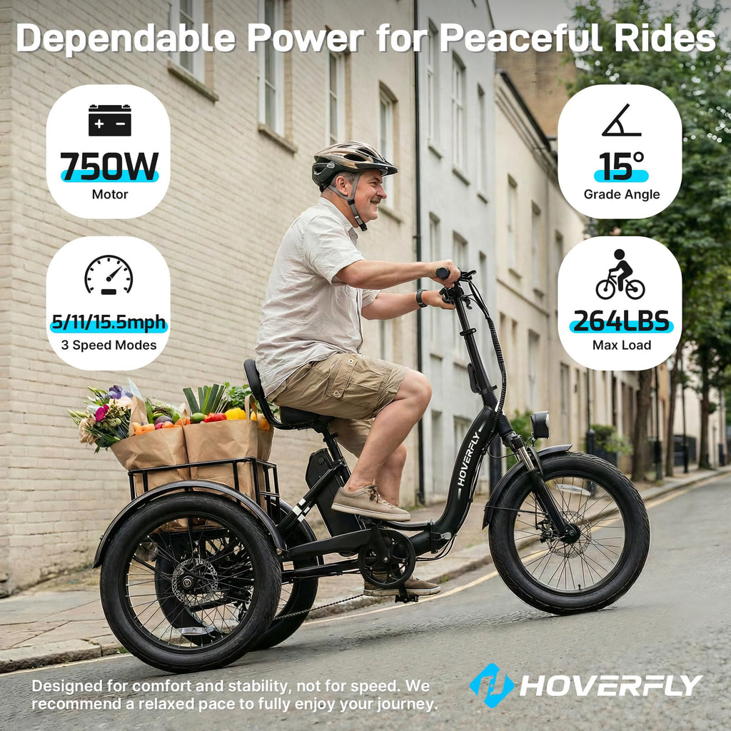 Electric Tricycle for Adults 750W Peak Motor 20"x3" Fat Tire I191074