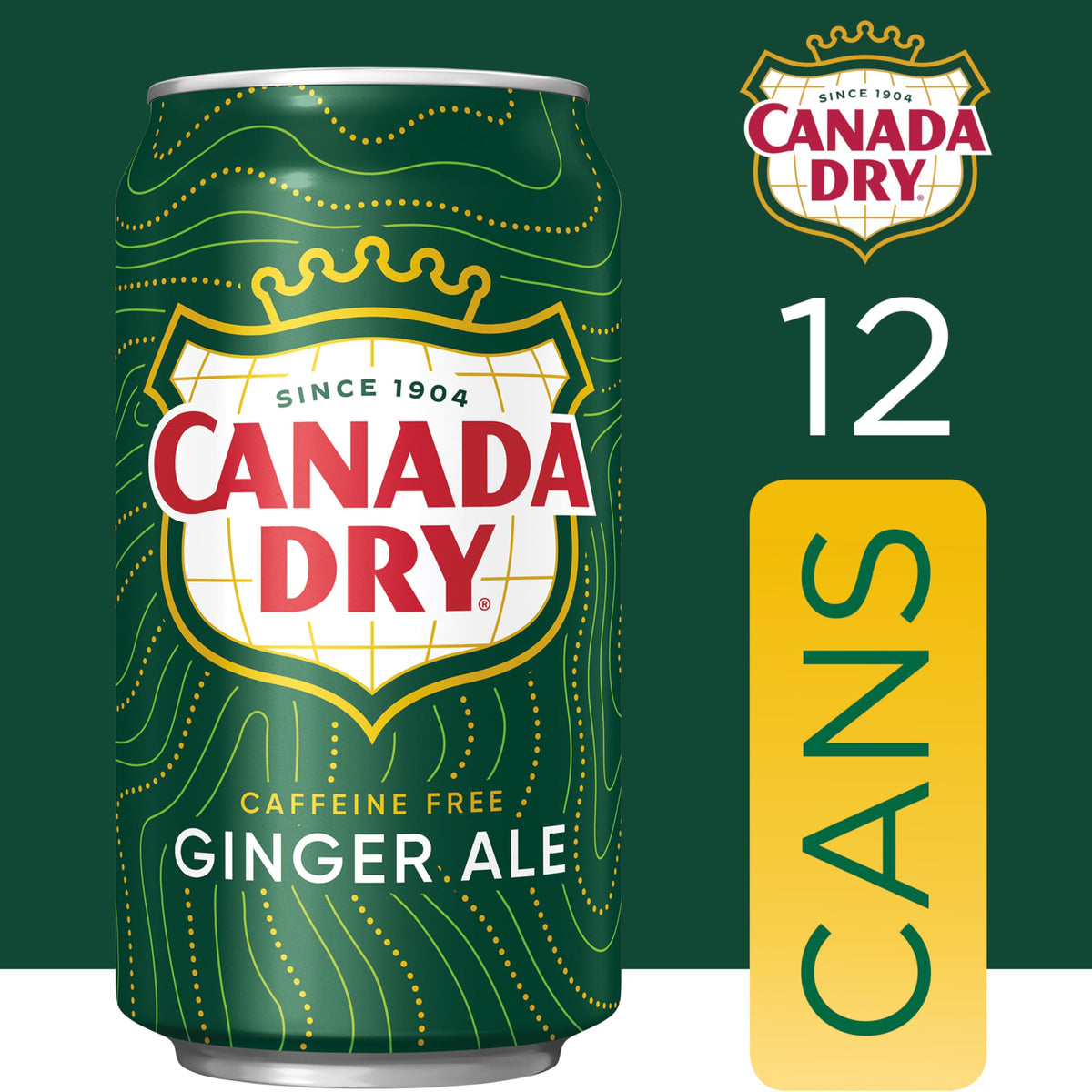Ginger Ale Soda 12 fl oz 12 pack Z829693