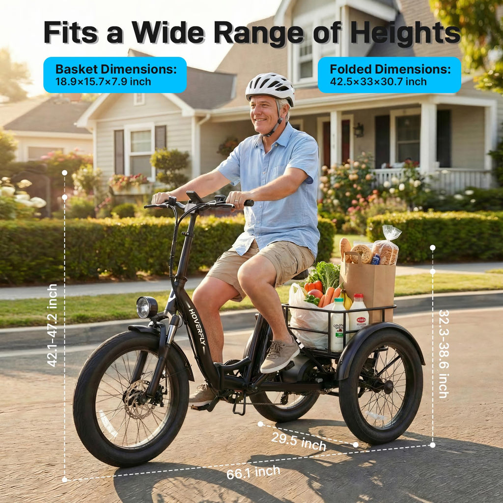 Electric Tricycle for Adults 750W Peak Motor 20"x3" Fat Tire I191074
