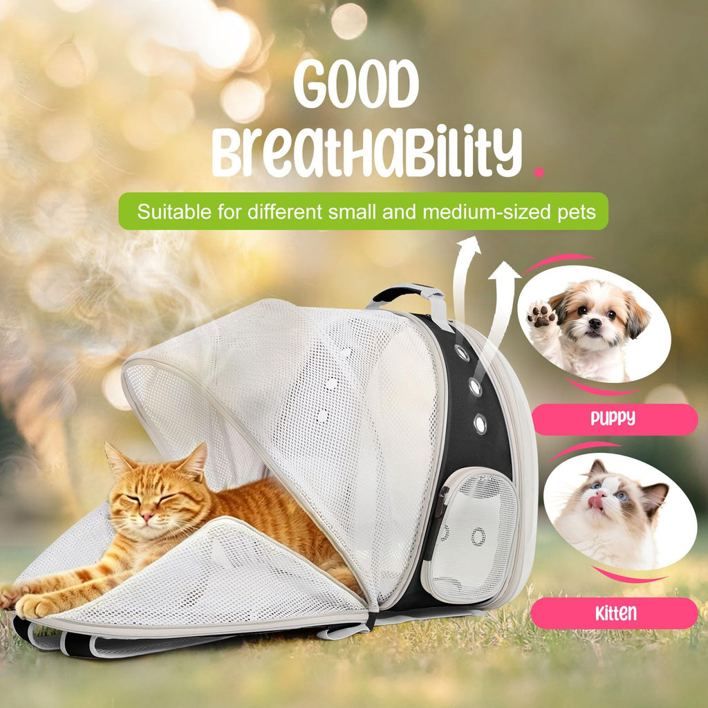 Large Cat Backpack Carrier O892581