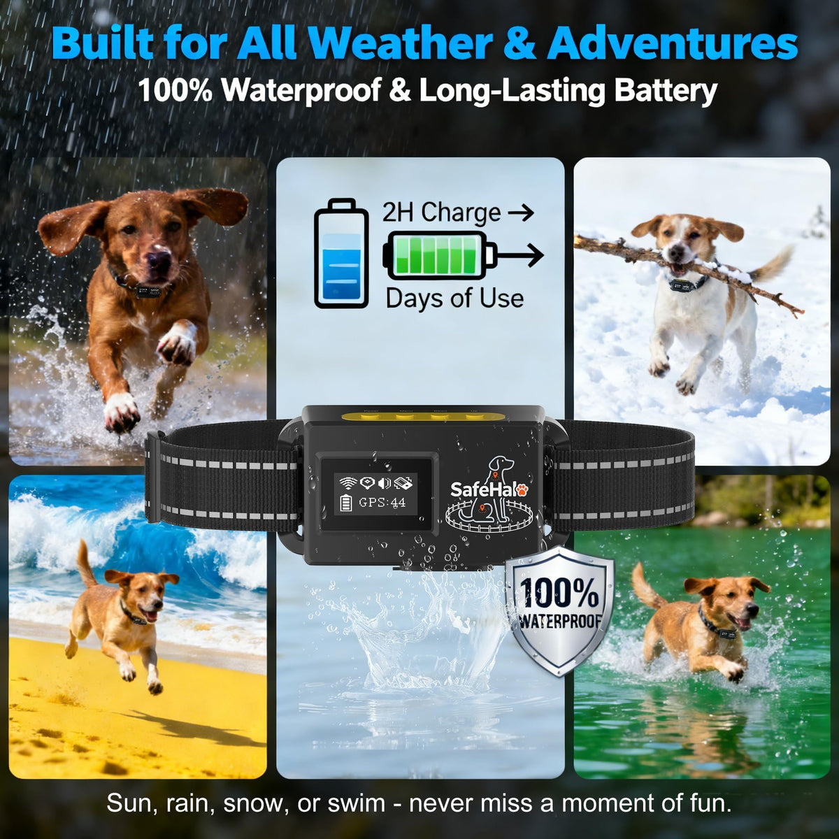 Wireless GPS Dog Fence Collar, 65–9,840 ft Radius, IPX7 Waterproof R313