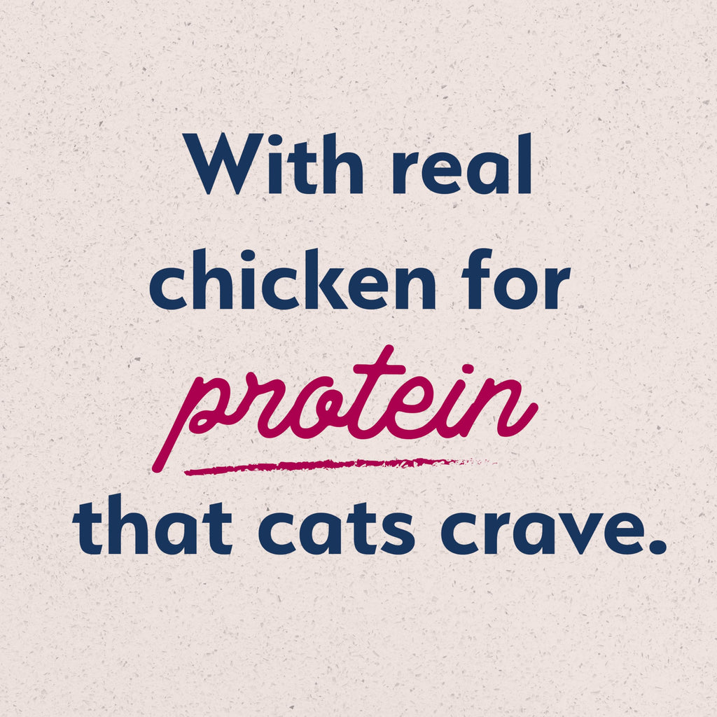 Dry Cat Food Chicken Meal & Salmon Meal 15 lb S613