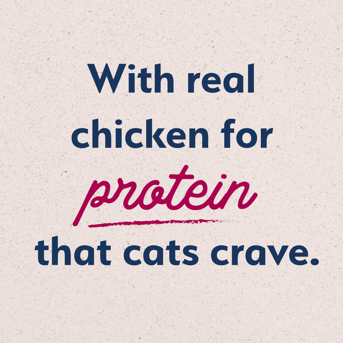 Dry Cat Food Chicken Meal & Salmon Meal 15 lb S613