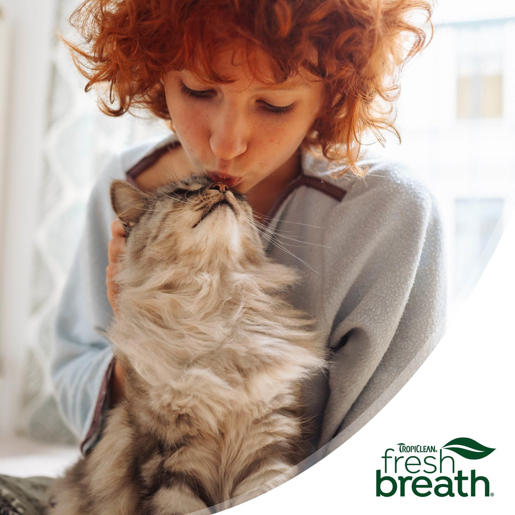Fresh Breath Water Additive for Cats 16oz O96543