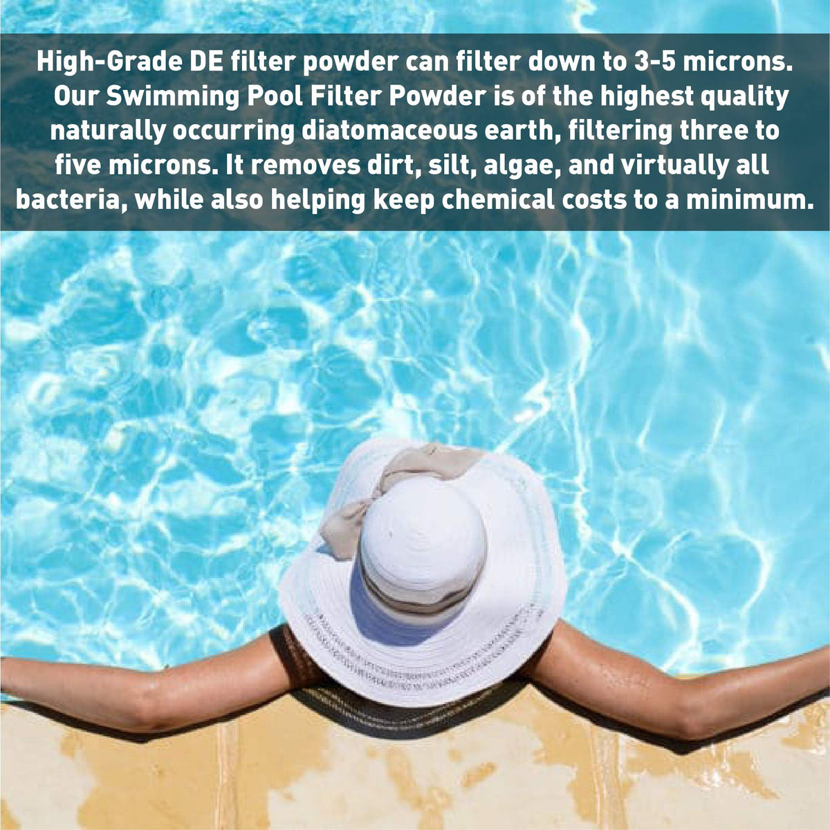 Diatomaceous Earth Pool Filter 25 lbs D747148