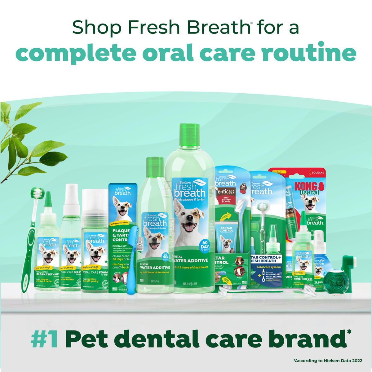 Fresh Breath Water Additive for Cats 16oz O96543