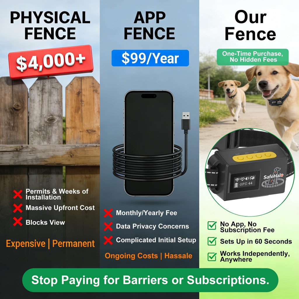 Wireless GPS Dog Fence Collar, 65–9,840 ft Radius, IPX7 Waterproof R313