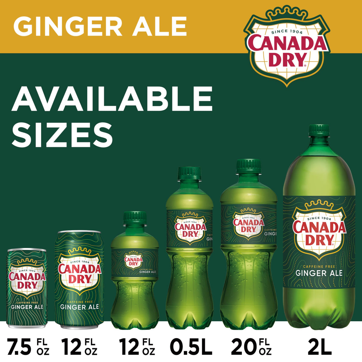 Ginger Ale Soda 12 fl oz 12 pack Z829693