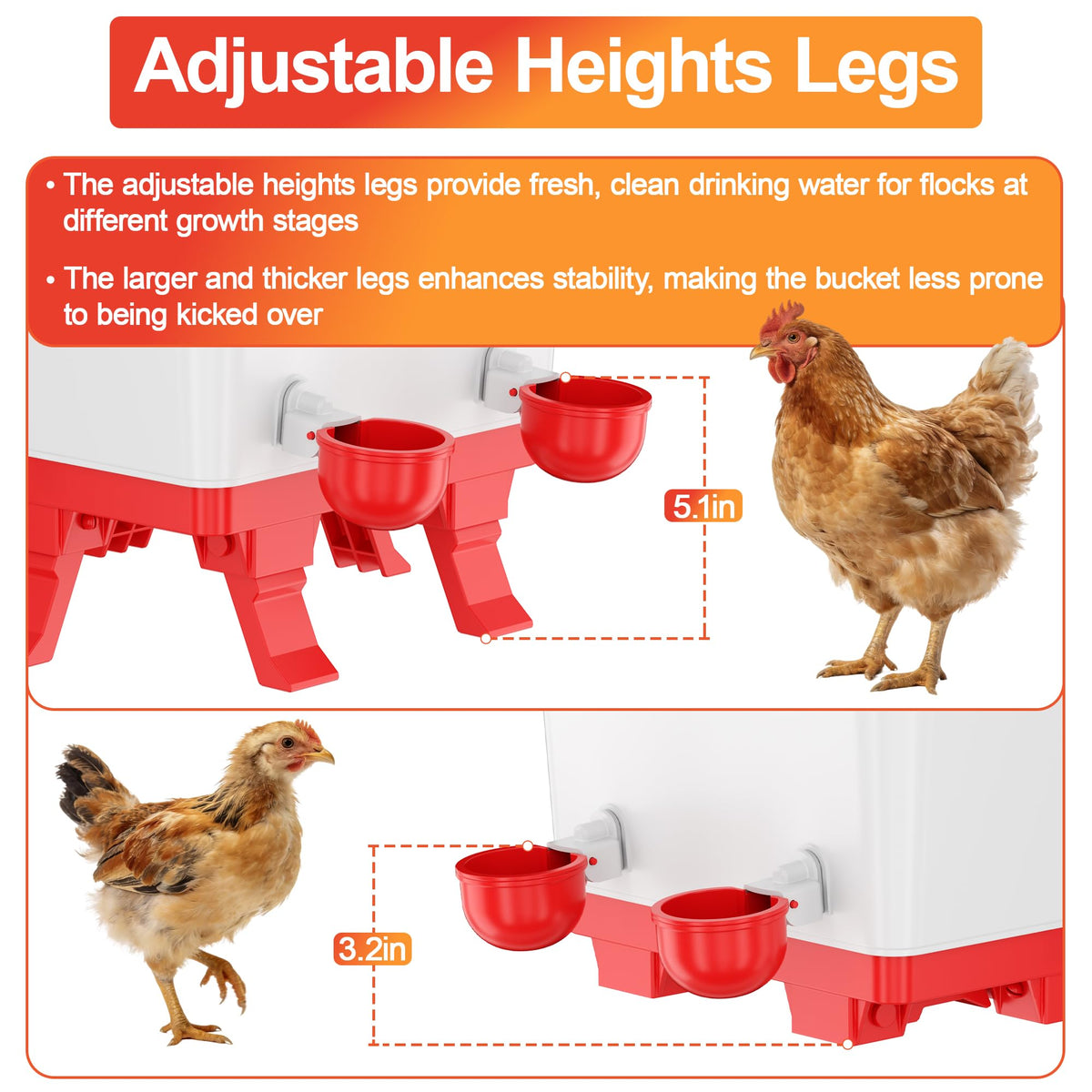 5.0 Gal Chicken Waterer Bucket with 4 Cups P728233