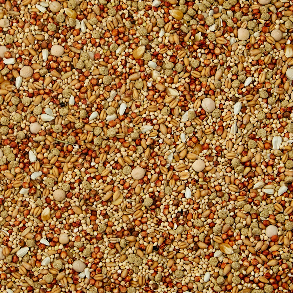 Dove Bird Seed 20 Pounds L69183