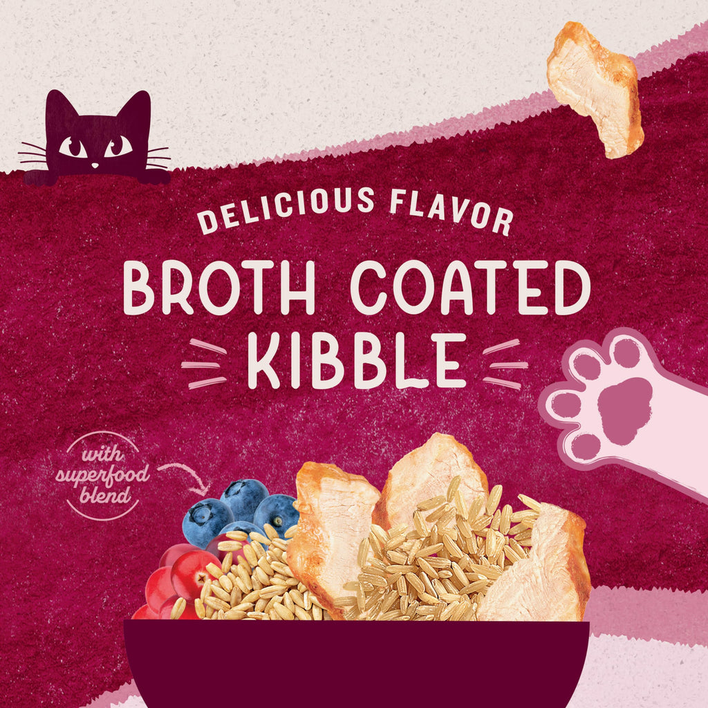 Dry Cat Food Chicken Meal & Salmon Meal 15 lb S613
